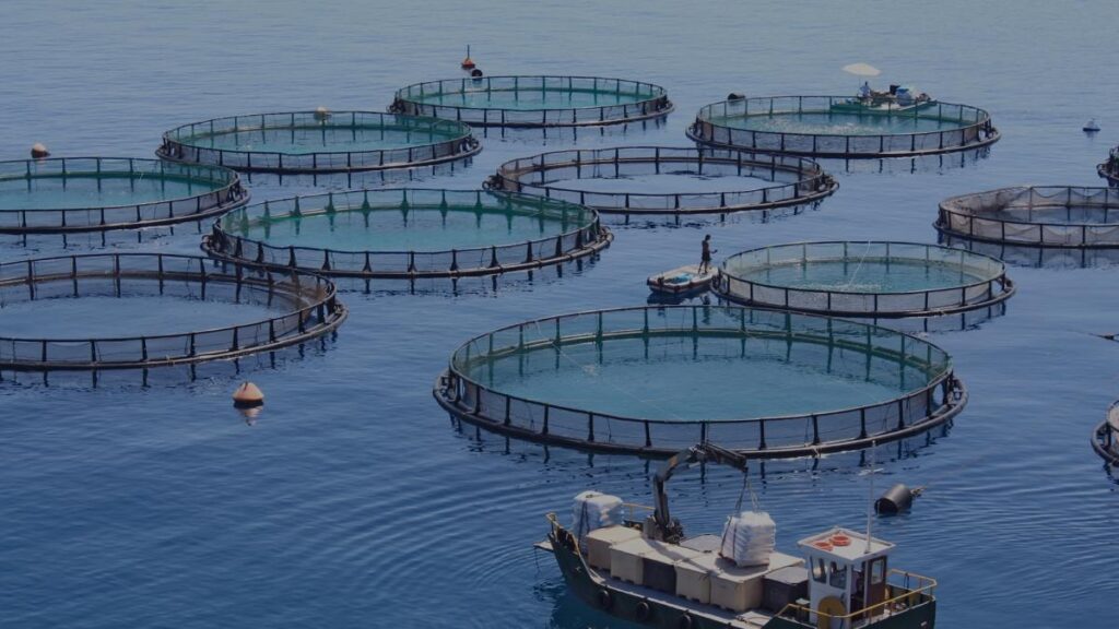 Oxygen Generators for Aquaculture